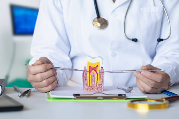 Best Emergency Tooth Extraction in Meiners Oaks, CA